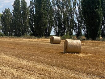 Balíky slamy - 11