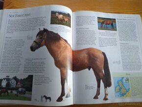 Obrazová encyklopedie koní (česky) - 20 eur - 11