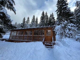 NA PREDAJ VAŠA VYSNÍVANÁ CHATKA NA DONOVALOCH - 11