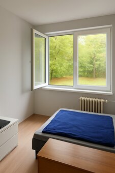 1 A POL IZBOVÝ BYT NA TERASE - 11