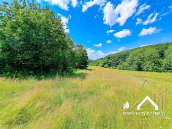 Veľkorysý, 2,5 ha pozemok za výbornú cenu - 11