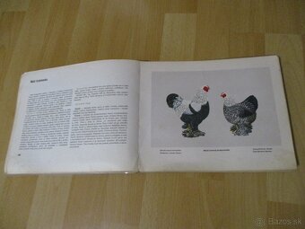 Atlas plemien hydiny - 11