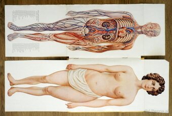 Starožitné lékařské/léčitelské knihy Nové domácí léčení - 11