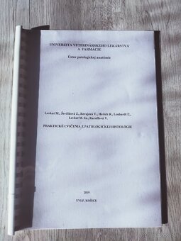 UVLF Košice - 11
