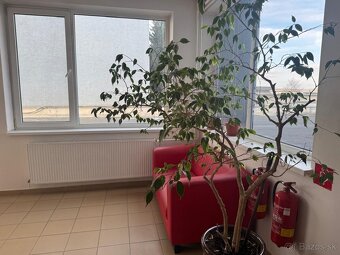 Polyfunkčná budova na predaj Bratislava 3, Staviteľská ulica - 11