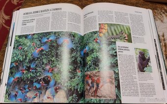 ZVIERATÁ, RASTLINY, RYBÁRSTVO, KUTIL... - 11