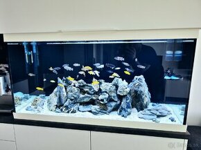 Akvárium JUWEL RIO 350 LED White - 11