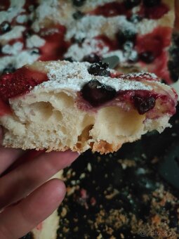 Ražný kvások cena 4€, sušený kvások 15g za 3€ - 11