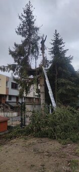 Realizácie záhrad a starostlivosť o zeleň - 11