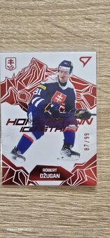 Hokejové Slovensko 2025 hokejové kartičky - 11