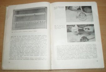 Chov včelích matiek - 11