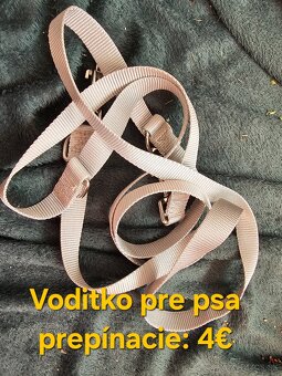 Veci pre psov: - 11