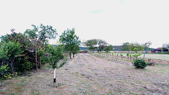 Rovinatý a slnečný pozemok v pokojnej obci Kašov - 11