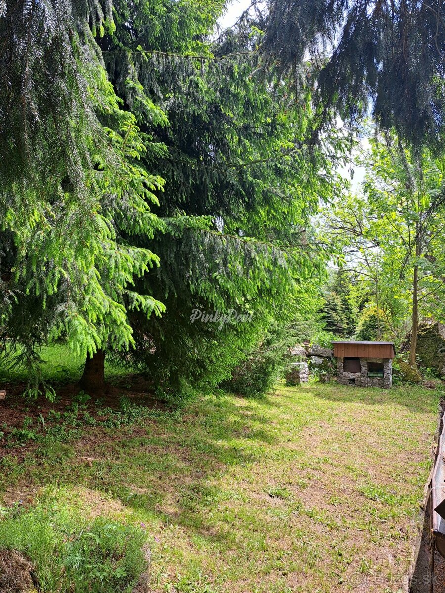 Miesto, kde sa tvoria spomienky a plnia sa sny - 12