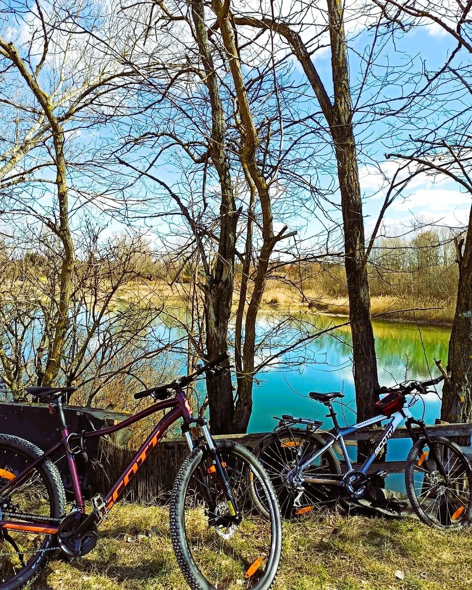 Horský bicykel Scott Contessa - 12