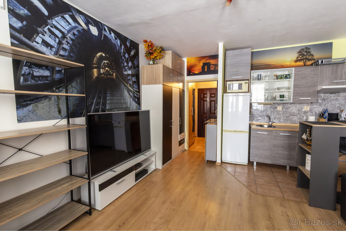 Predaj veľkej garsónky na KVP - 12