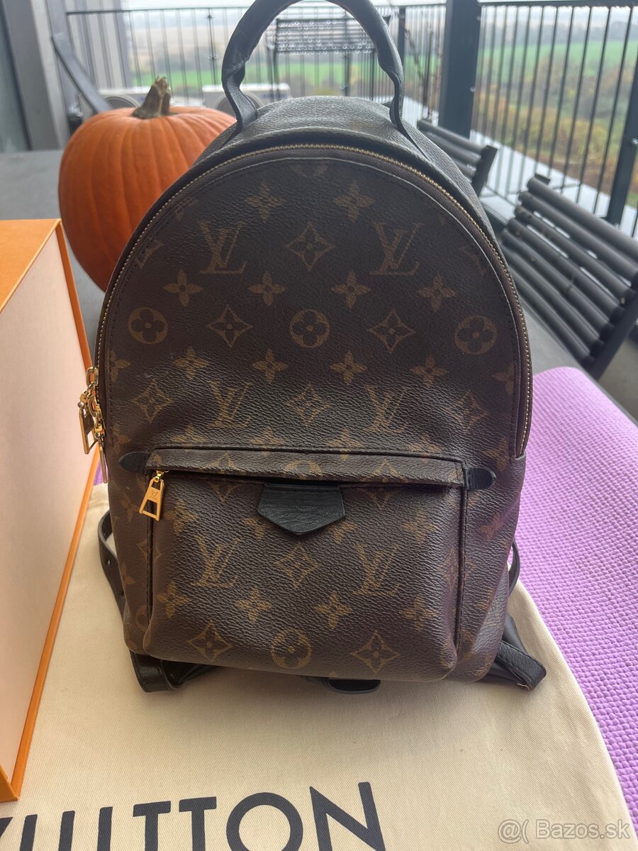 Louis Vuitton Palm Springs PM Backpack - 12