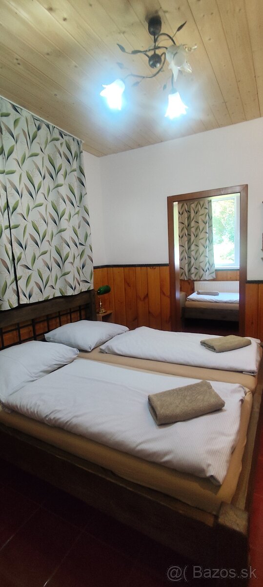 Predaj penziónu a chaty dražbou v obci Vinné - 12