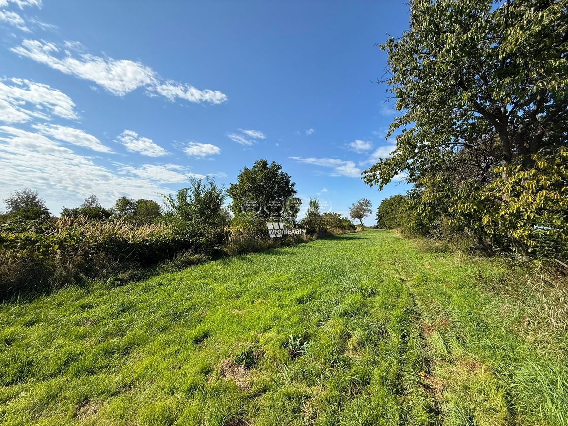 Na predaj rodinný dom s veľkým pozemkom – Obec Paňa (okres N - 12