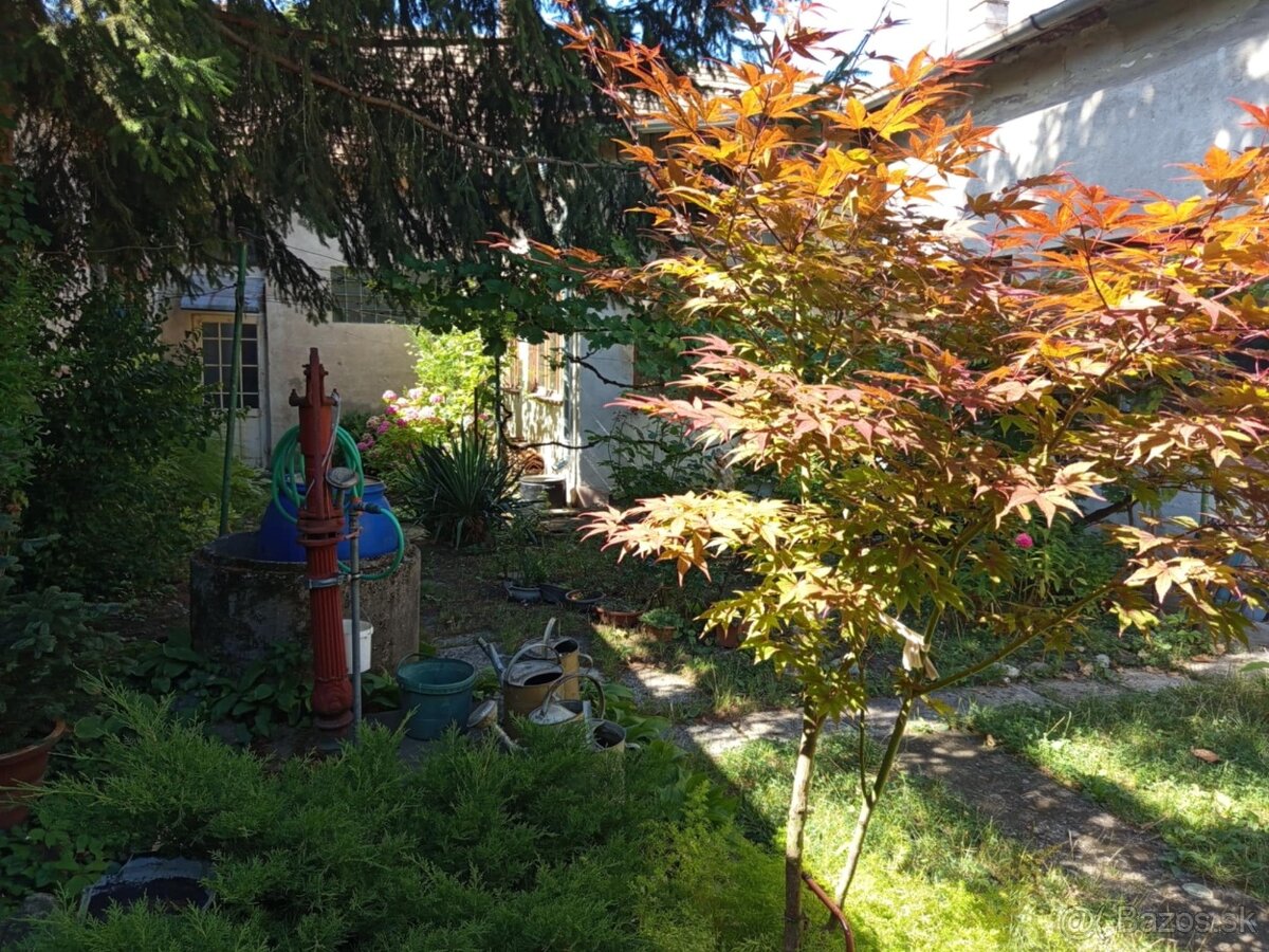 NA predaj rodinný dom v úplnom centre mesta LEvice - 12