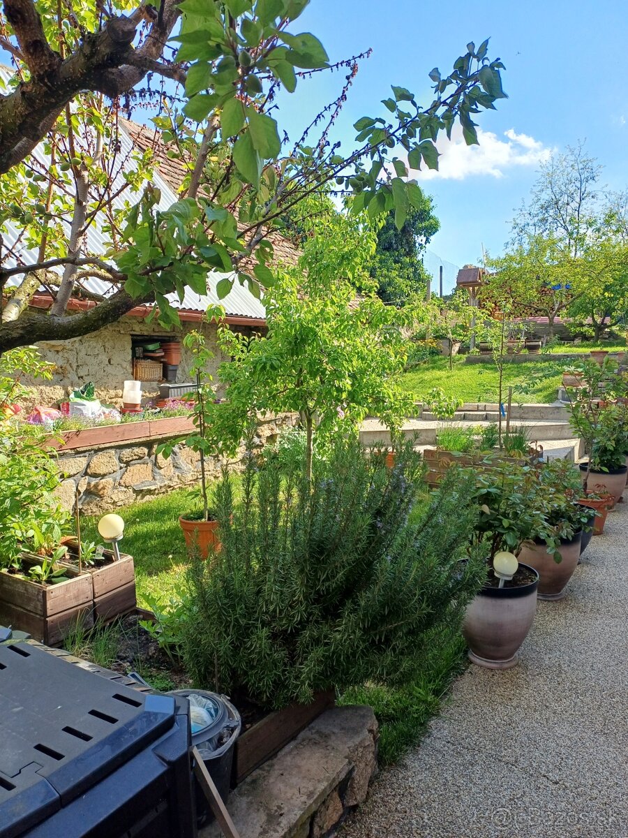 Prodej rodinných domů - 12