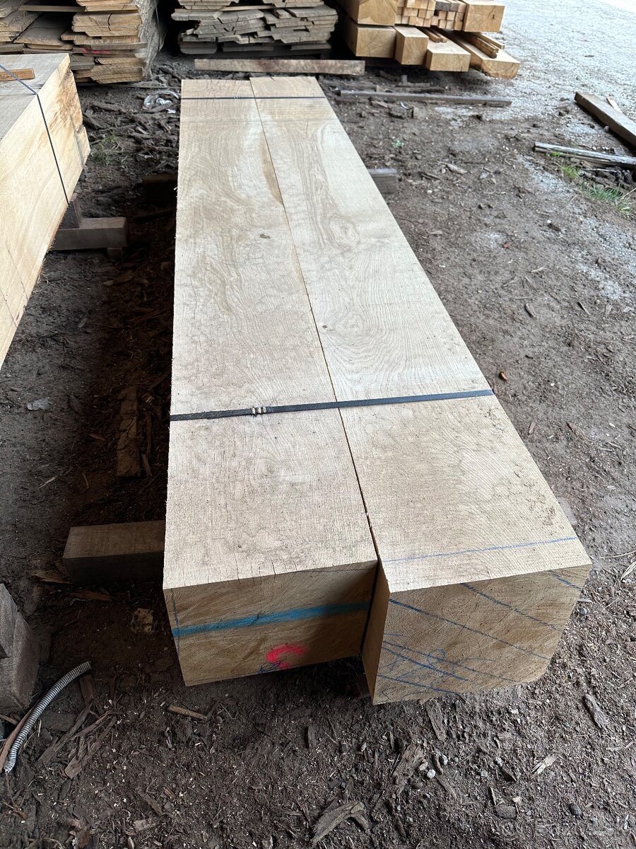 Dubové hranoly o veľkých prierezoch - 12