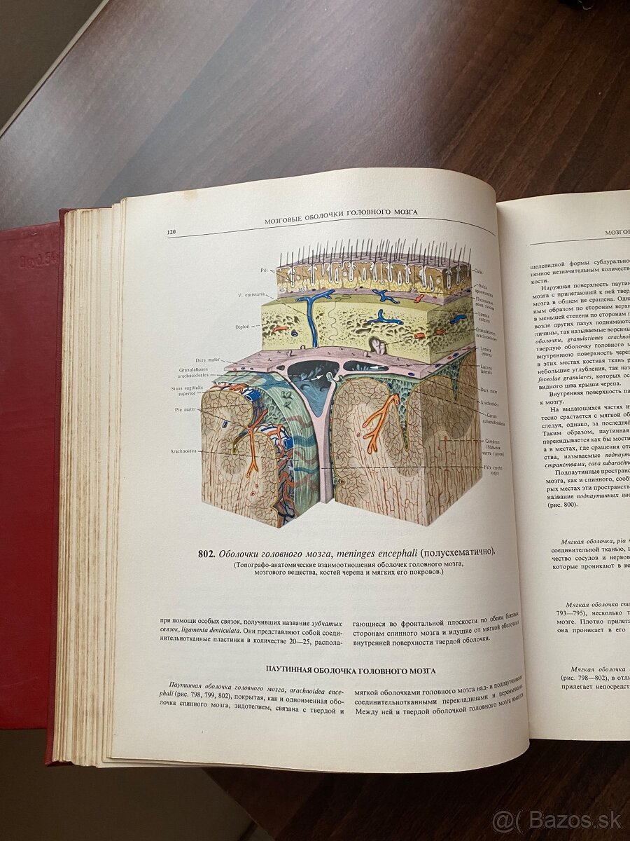 Atlas - Anatomia cloveka 2,3 - 12