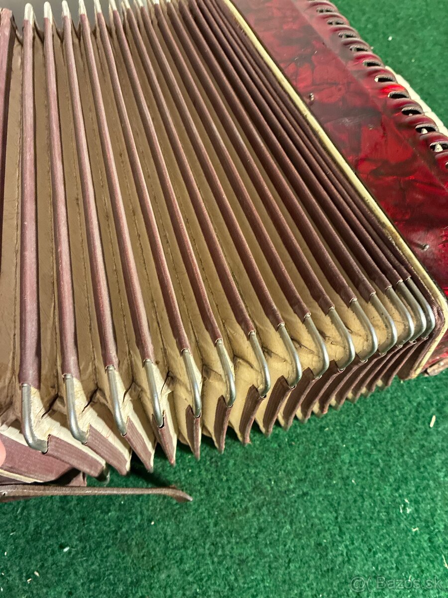 Harmonika Weltmeister - 12