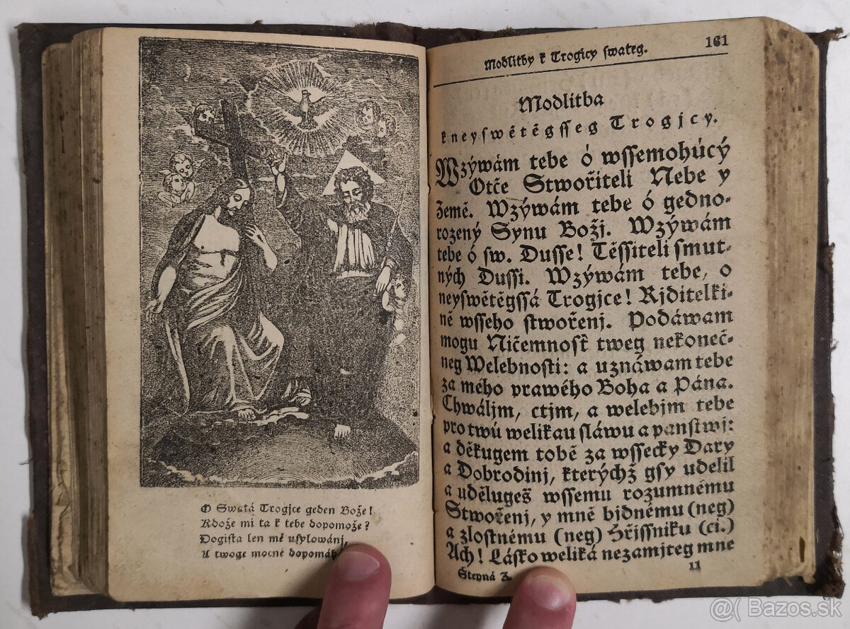 Stepná zahradka 1850 - 12