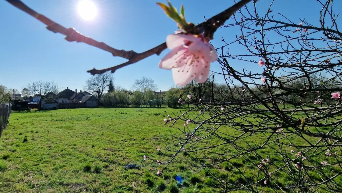 Ponúkame na predaj rod. dom v Bátorových Kosihách - 12