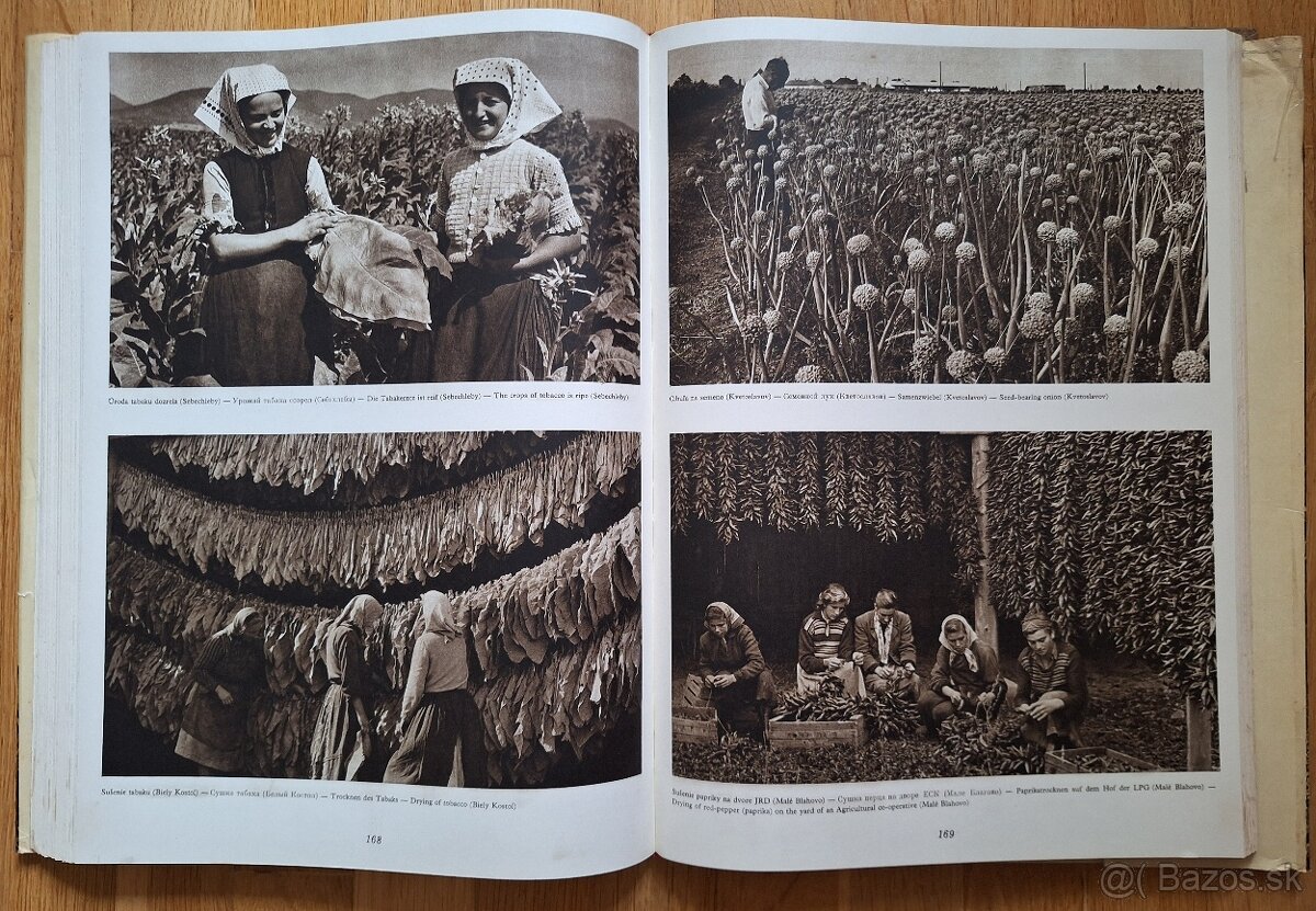 Jiri Horak & Karel Plicka - Zbojnicke piesne slovenskeho lud - 12