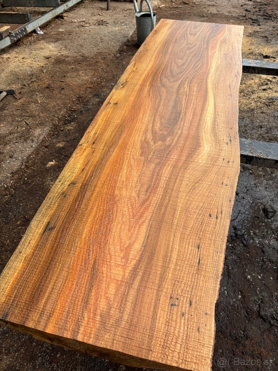 Rezivo Brest Brestove Fošne Kmene Drevo - 12