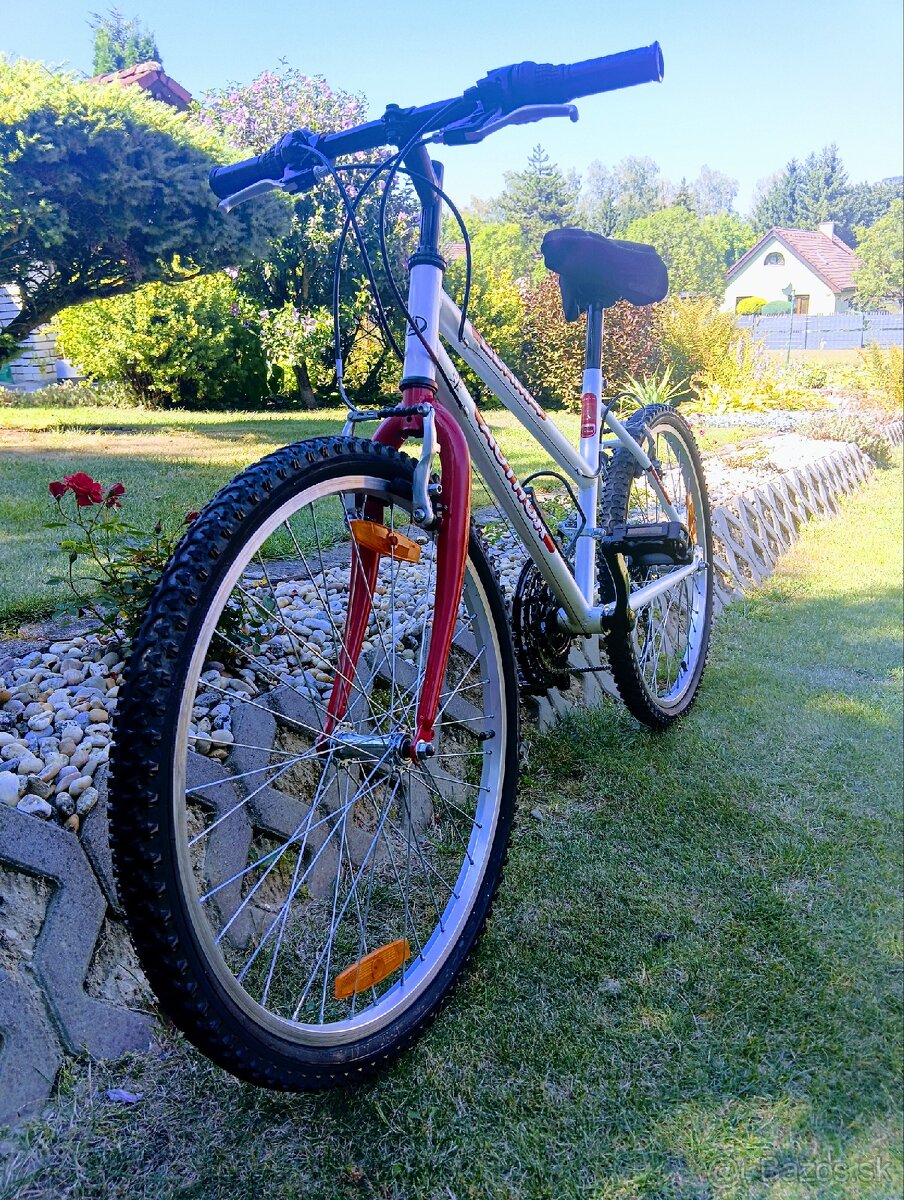 Author -detsky bicykel - 12