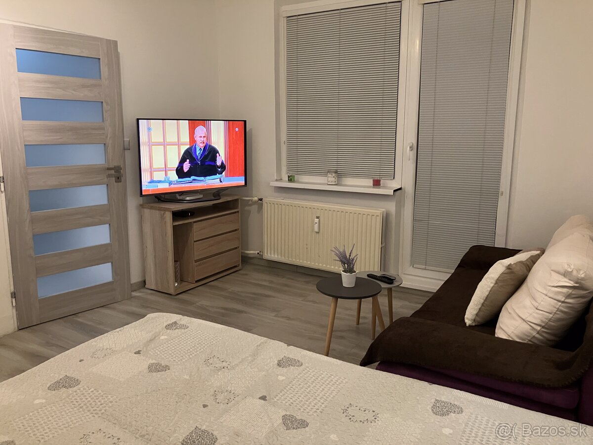 1izbovy byt prenájom - 12