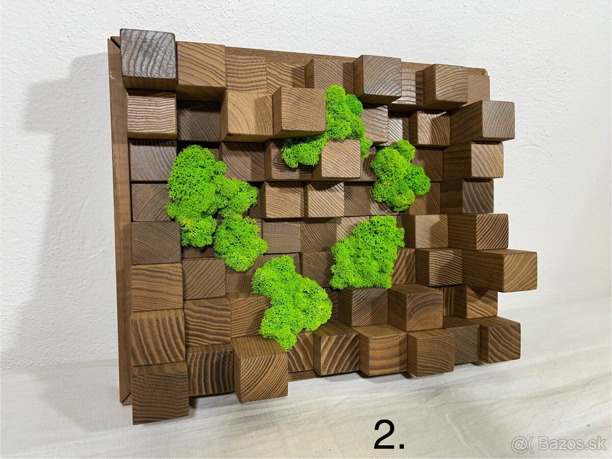 Machové obrazy - akustické difúzory - 12