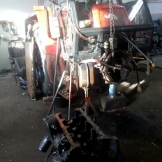 Zetor crystal 10145. - 12