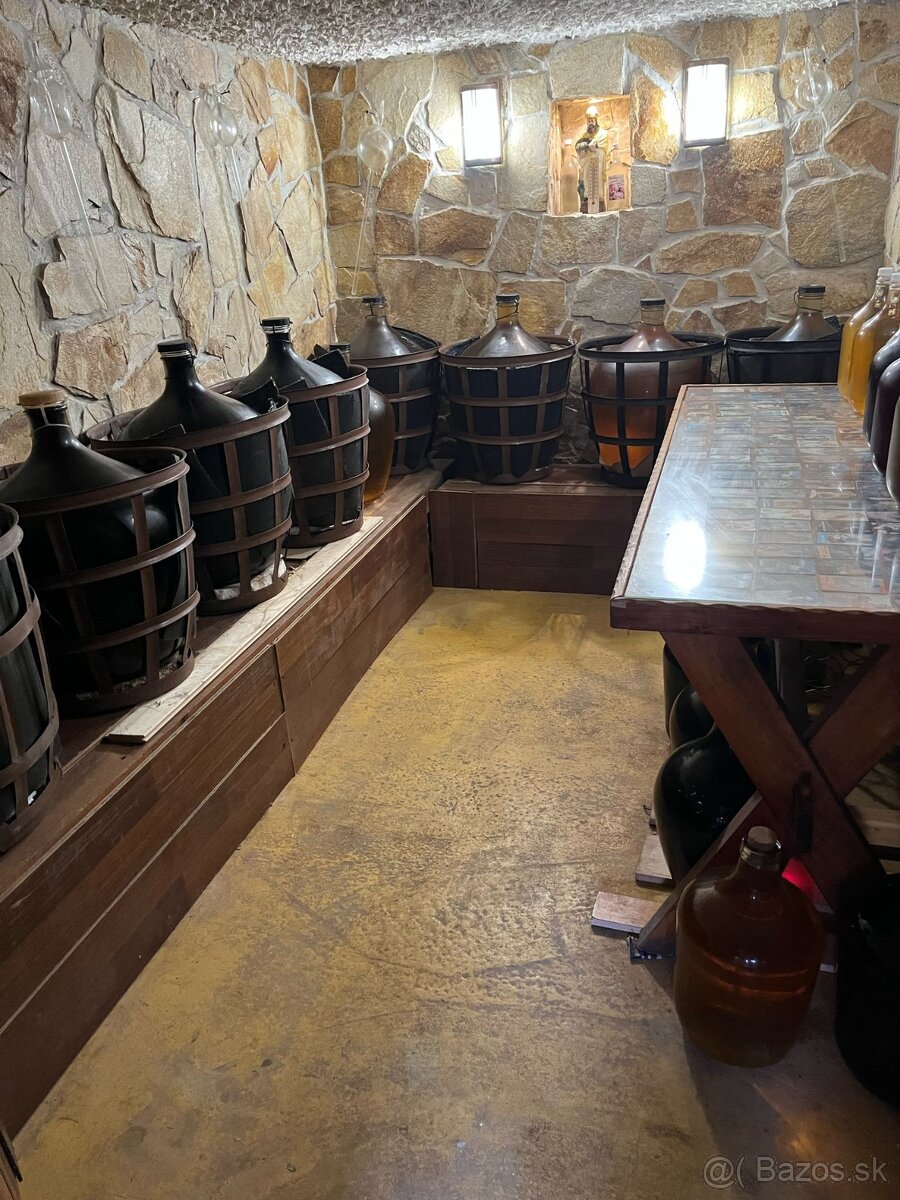 ZĽAVNENÉ • Na predaj vinohrad. domček s pivnicou a pozemkom - 12