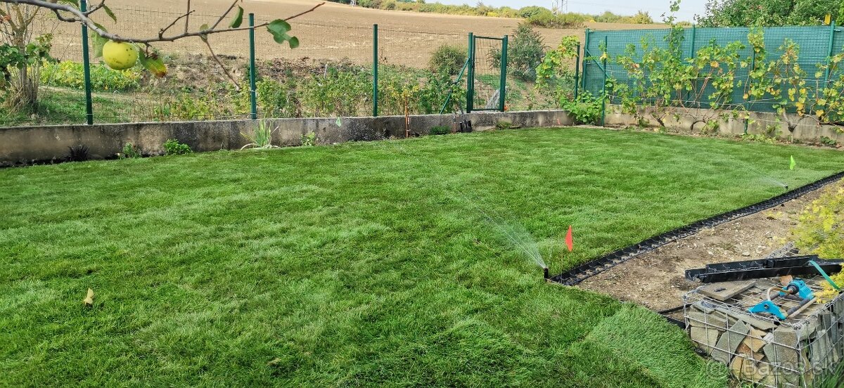 Orez ovocných stromov - Údržba záhrad - Čistenie pozemkov - 12