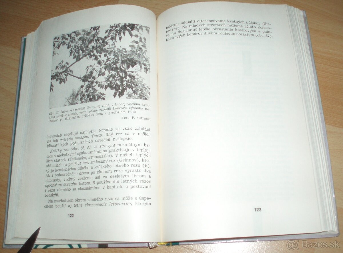 Rez a tvarovanie ovocných drevín - 12