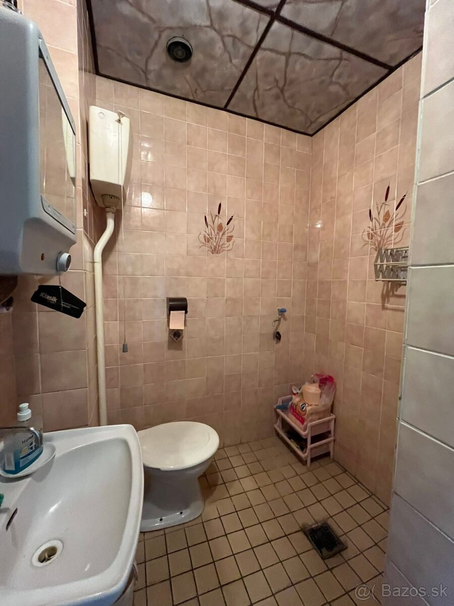 PREDAJ, OBCHODNÝ PRIESTOR, ŠTÚROVO - 12