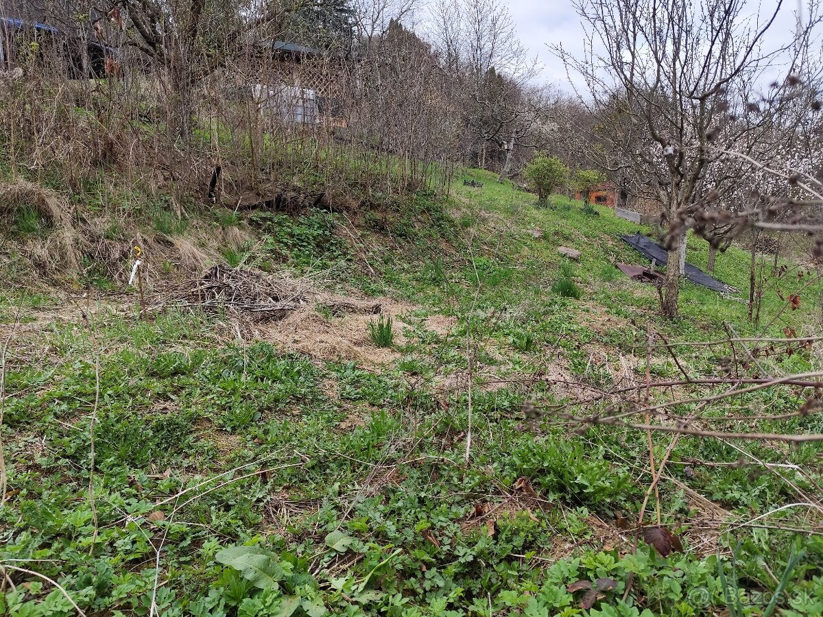 Zahradka s pivnicou - Pod Kalvariou - 12