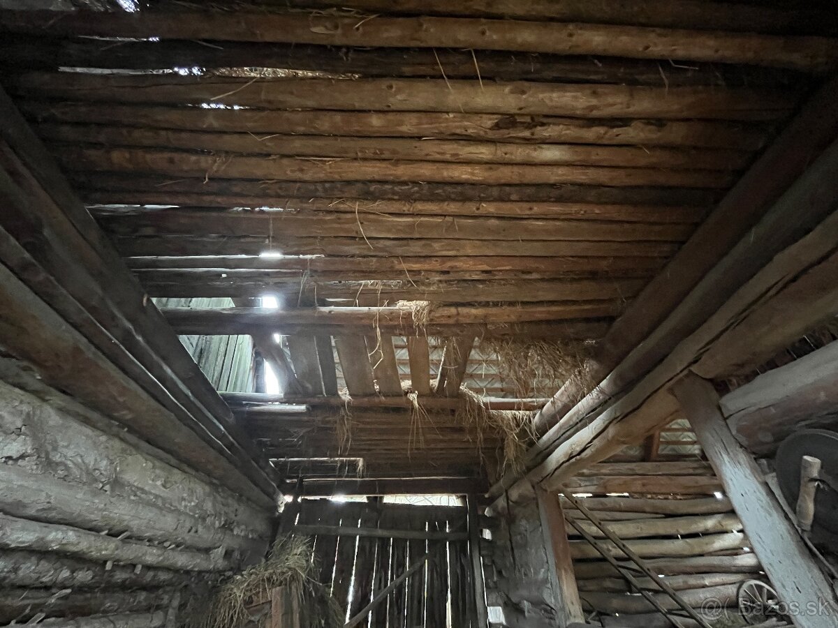 Stare drevo na predaj - 12