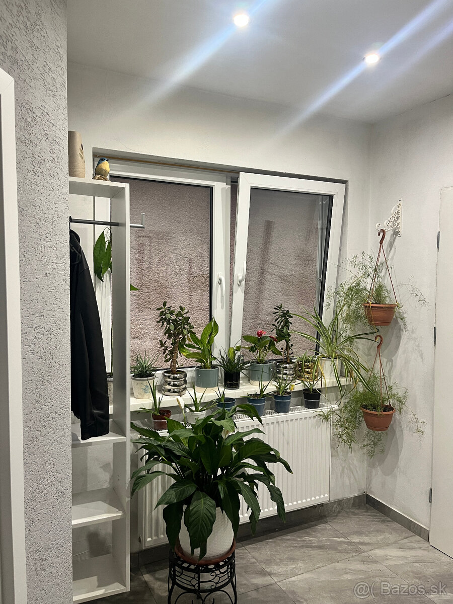 Rodinný dom Jacovce - ZNÍŹENÁ CENA - predaj - 12