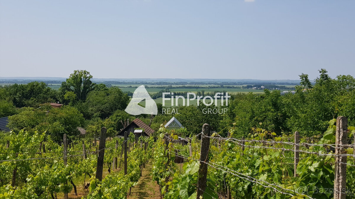 Predám dva vinohradnícke domy s pozemkami medzi vinohradmi p - 12