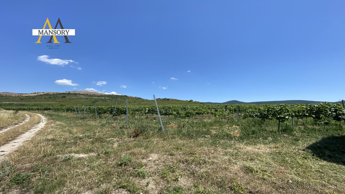 Na predaj vínny dom s vinicami a vínnymi pivnicami 13974 m2 - 12