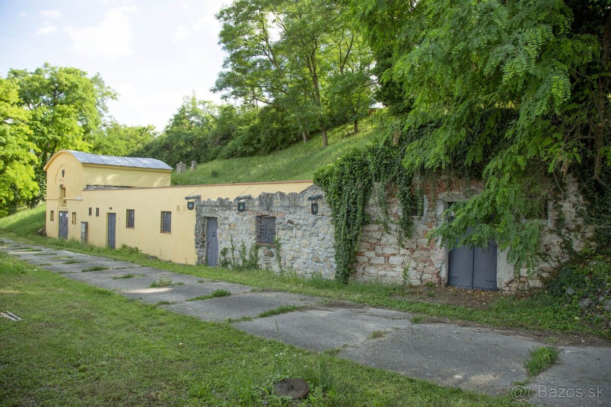 Ponúkame na predaj viacúčelový podnikateľský objekt - 12