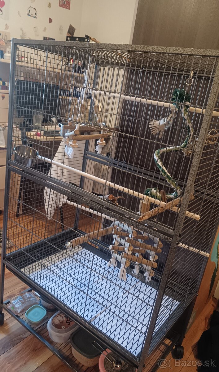 Predám pyrurku - 12