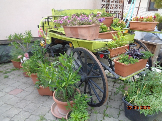 Brička-stojan na kvety - 12