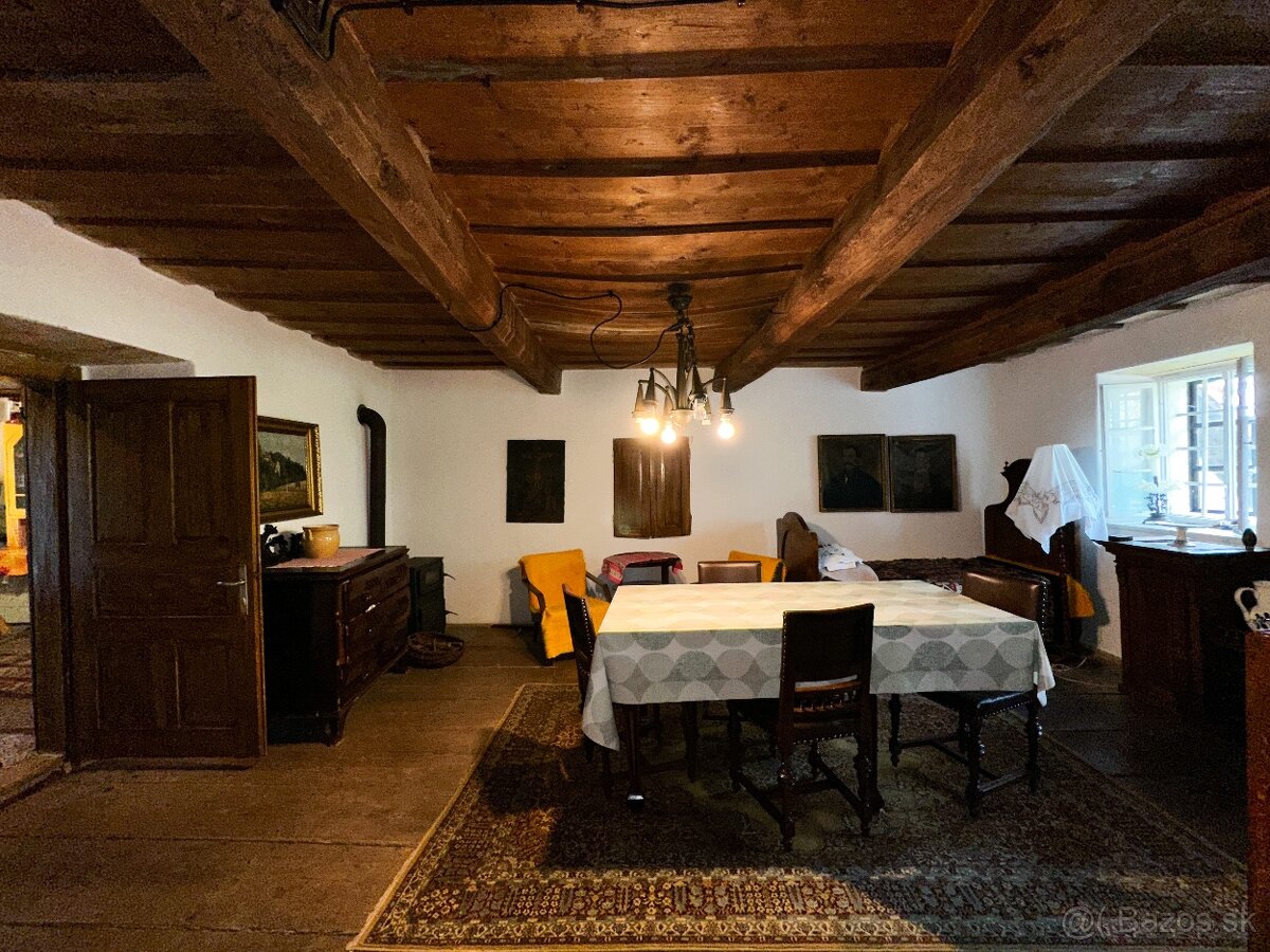 Rozsiahly pozemok s chatou v obci Hrušov - 12