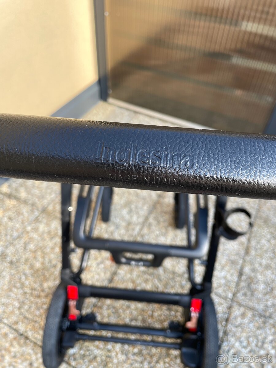 Inglesina Aptica XT - 12